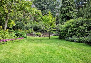 Optimiser l'expérience du jardin à Montrieux-en-Sologne
